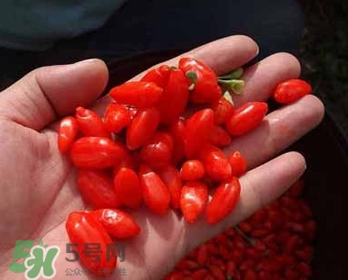 枸杞鮮果屬水果嗎？枸杞鮮果什么味道