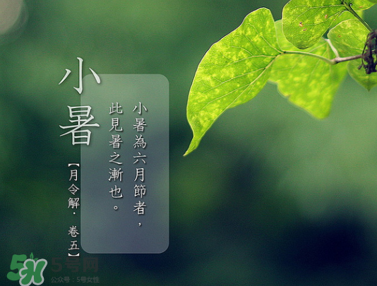 2017年小暑會(huì)下雨嗎？小暑這一天下雨好嗎？