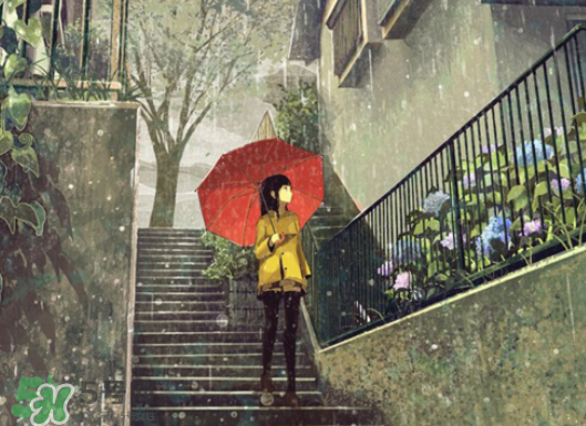 2017年小暑會(huì)下雨嗎？小暑這一天下雨好嗎？