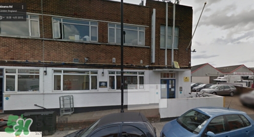 dayshow是什么牌子？dayshow是哪國國家的？