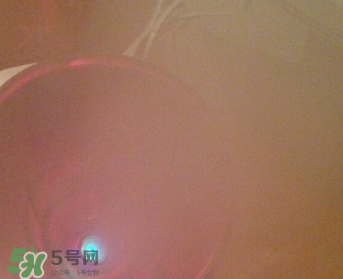 松下蒸臉器和金稻哪個好？松下蒸臉器和金稻蒸臉器對比