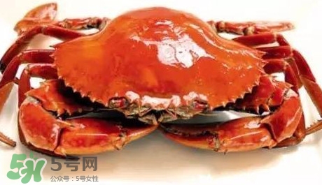 石夾紅螃蟹什么時候有？石夾紅螃蟹什么時候最肥