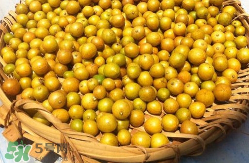 黃皮果是小金橘嗎？黃皮果和小金橘的區(qū)別