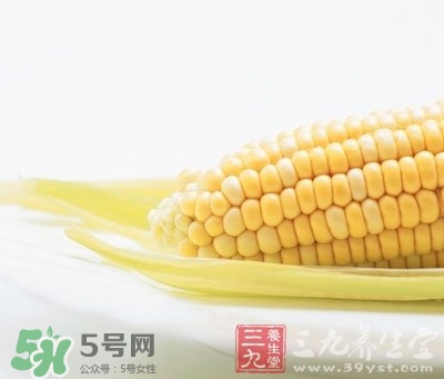 玉米穗的功效 玉米穗的作用 玉米穗的功效 玉米穗的作用