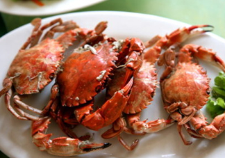 花蓋蟹怎么做好吃？花蓋蟹怎么分公母