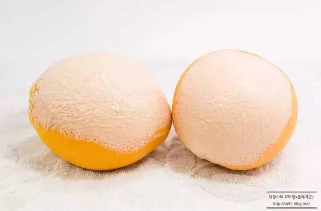 悅詩風(fēng)吟洗臉儀好用嗎？悅詩風(fēng)吟洗臉儀和luna潔面儀對比