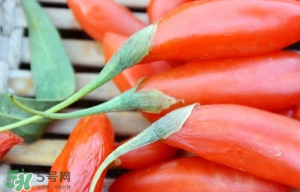 青海和寧夏枸杞哪個(gè)好？青海枸杞和寧夏枸杞的區(qū)別