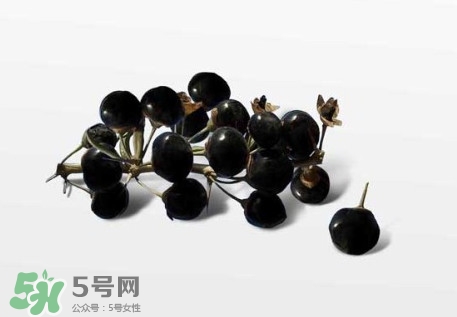 新鮮枸杞多少錢(qián)一斤？2017枸杞鮮果價(jià)格