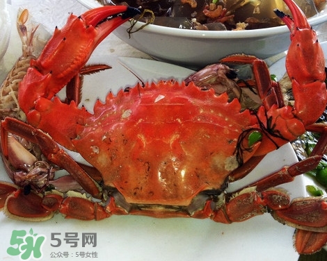 石夾紅螃蟹什么時候有？石夾紅螃蟹什么時候最肥