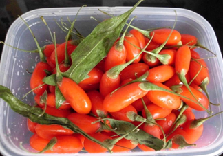 枸杞鮮果怎么保存？枸杞鮮果保鮮期有多久