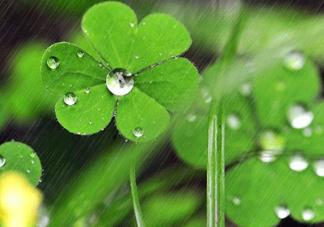 2017年小暑會(huì)下雨嗎？小暑這一天下雨好嗎？