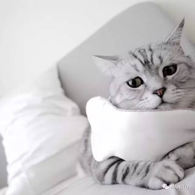 manito真絲眼罩多少錢？manito真絲眼罩專柜價(jià)格