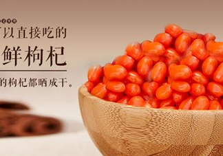 枸杞鮮果能吃嗎？鮮枸杞好還是干枸杞好