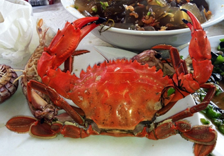 石夾紅螃蟹怎么吃？石夾紅螃蟹煮多久
