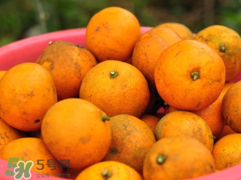 桔子什么時(shí)候成熟？桔子什么時(shí)候上市？