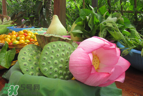 蓮蓬什么味道？蓮蓬好吃嗎？