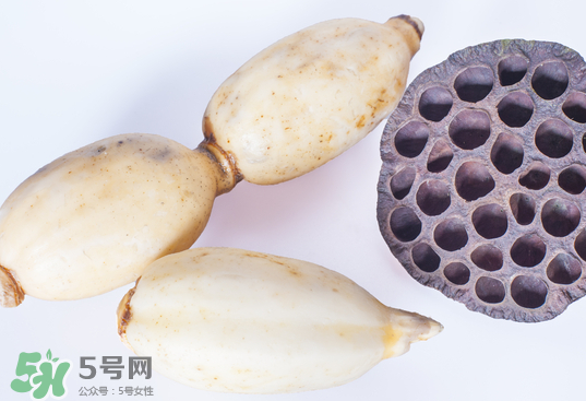 蓮蓬和蓮藕一樣嗎？蓮蓬和蓮藕的區(qū)別