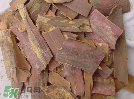 紅豆杉樹皮多少錢一斤？2017紅豆杉市場價