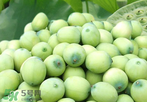 新鮮蓮蓬孕婦能吃嗎？孕婦可以吃新鮮蓮蓬嗎？