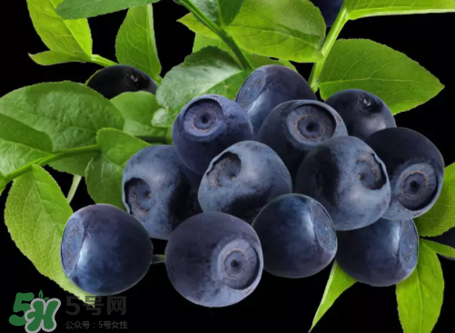 新鮮藍(lán)莓可以直接吃嗎？新鮮藍(lán)莓怎么吃才好吃？