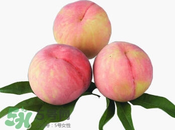 脆桃有什么營(yíng)養(yǎng)？脆桃的營(yíng)養(yǎng)價(jià)值