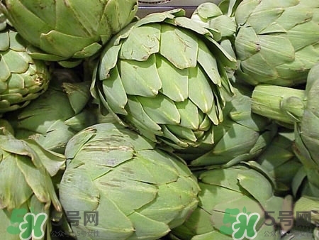 洋薊是什么東西?洋薊怎么做好吃? 洋薊是什么東西?洋薊怎么做好吃?