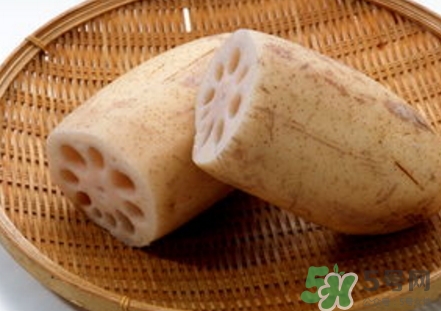 紅蓮藕和白蓮藕哪個(gè)好？紅蓮藕和白蓮藕區(qū)別