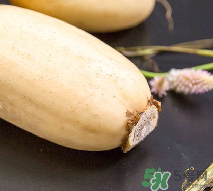 紅蓮藕和白蓮藕哪個(gè)好？紅蓮藕和白蓮藕區(qū)別