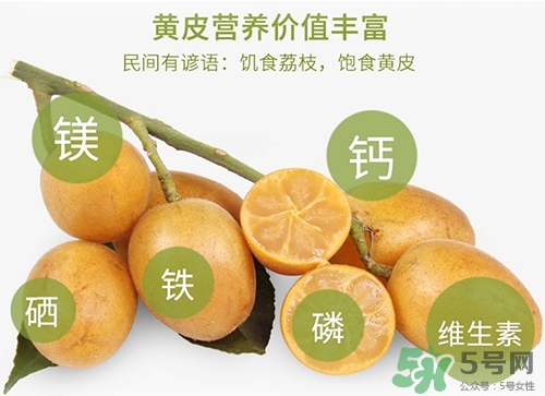 孕婦可以吃黃皮嗎？孕婦吃黃皮有什么好處