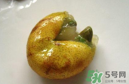 黃皮果核能治療什么??？黃皮核的功效與作用