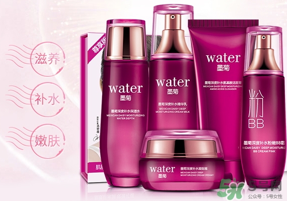 一枝春是什么牌子？一枝春化妝品怎么樣