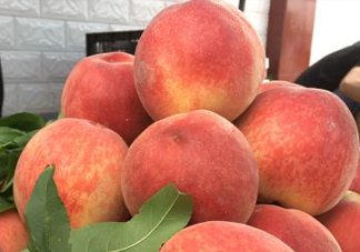 脆桃和軟桃哪個好吃？脆桃跟軟桃有什么區(qū)別？