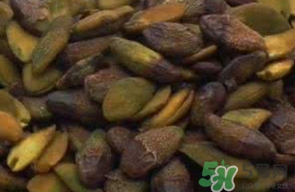 黃皮果核能治療什么??？黃皮核的功效與作用