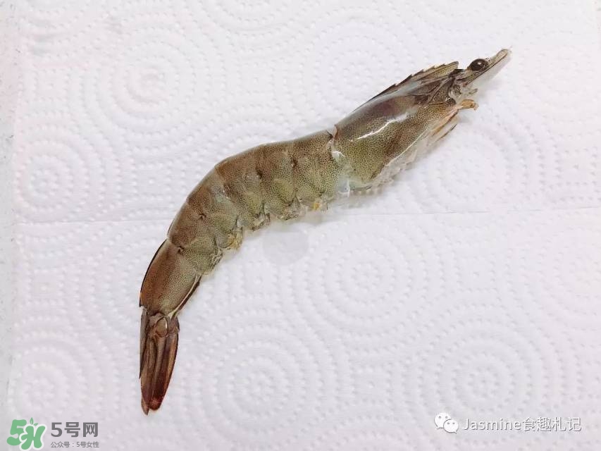 活基圍蝦怎么保存？活基圍蝦怎么處理干凈？