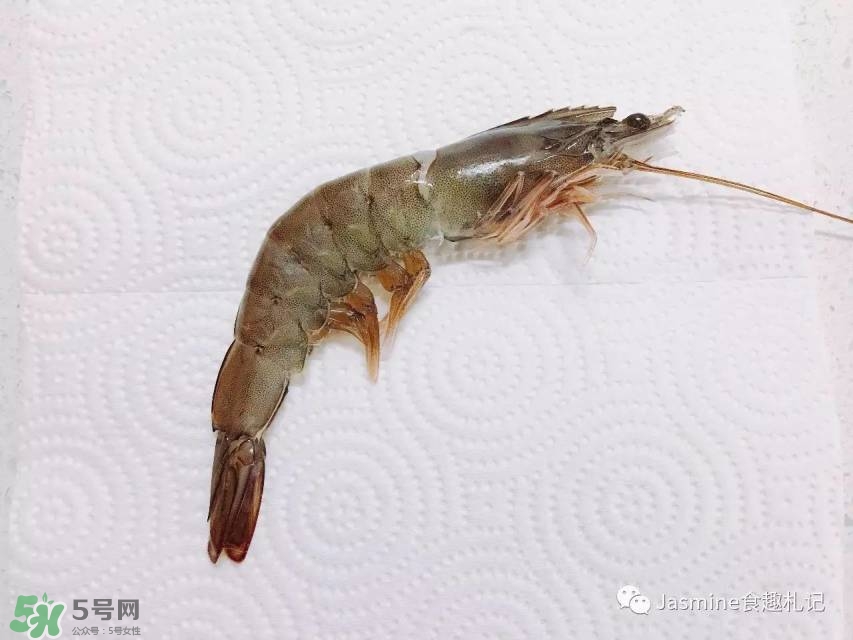 活基圍蝦怎么保存？活基圍蝦怎么處理干凈？