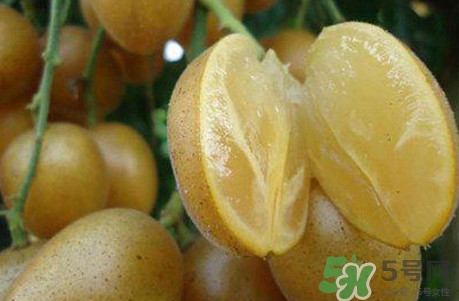 黃皮果可以和香蕉一起吃嗎？黃皮果的食用禁忌有哪些