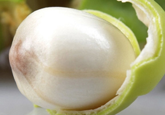 蓮蓬什么味道？蓮蓬好吃嗎？