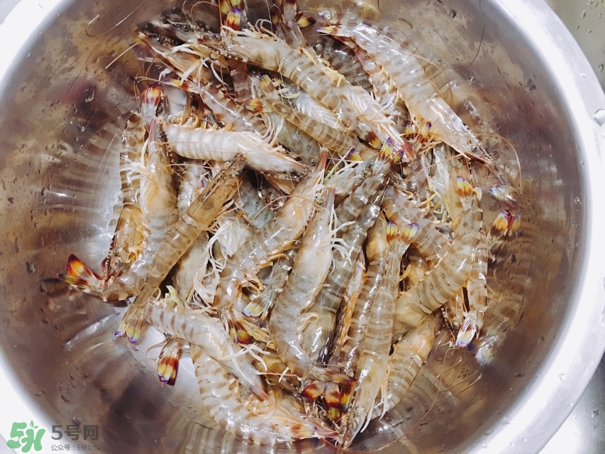 活基圍蝦怎么保存？活基圍蝦怎么處理干凈？