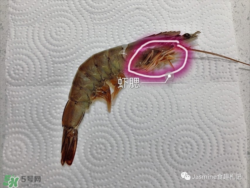 活基圍蝦怎么保存？活基圍蝦怎么處理干凈？