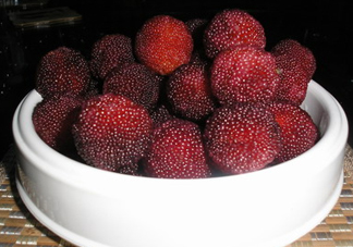 新鮮楊梅怎么保存得更長時間？新鮮楊梅能保存幾天？