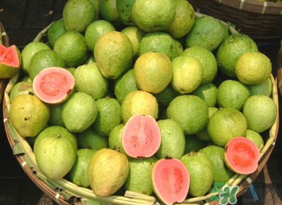 產婦可以吃番石榴嗎？坐月子可以吃番石榴嗎？