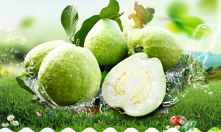 寶寶可以吃番石榴嗎？番石榴怎么吃