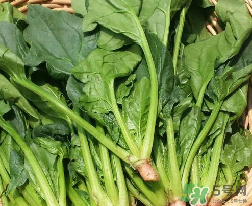 吃什么能增加食欲?夏天吃什么菜能增加食欲? 吃什么能增加食欲?夏天吃什么菜能增加食欲?