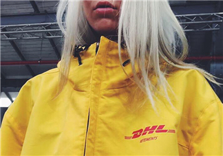 vetements與dhl聯(lián)名系列怎么樣_好看嗎_有哪些單品？