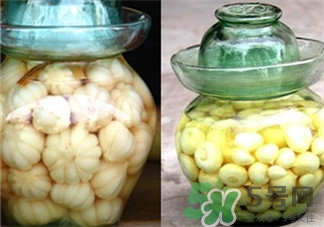 白酒泡大蒜的功效 白酒泡大蒜的作用 白酒泡大蒜的功效 白酒泡大蒜的作用