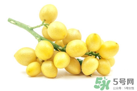 山黃皮燜鴨怎么做好吃？山黃皮燜鴨的做法