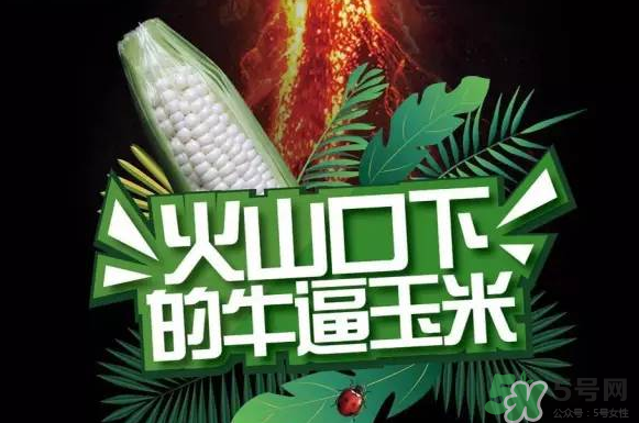 微玉冰糖玉米小孩可以吃嗎？微玉冰糖玉米營養(yǎng)豐富嗎？