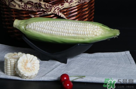 微玉冰糖玉米小孩可以吃嗎？微玉冰糖玉米營養(yǎng)豐富嗎？