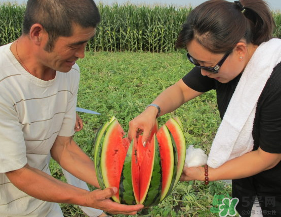 西瓜和玉米能一起吃嗎？西瓜和玉米能同時吃嗎？