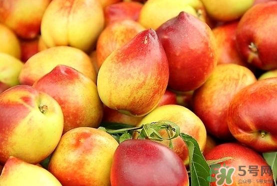 玉米和桃子能一起吃？桃子可以和玉米一起吃嗎？